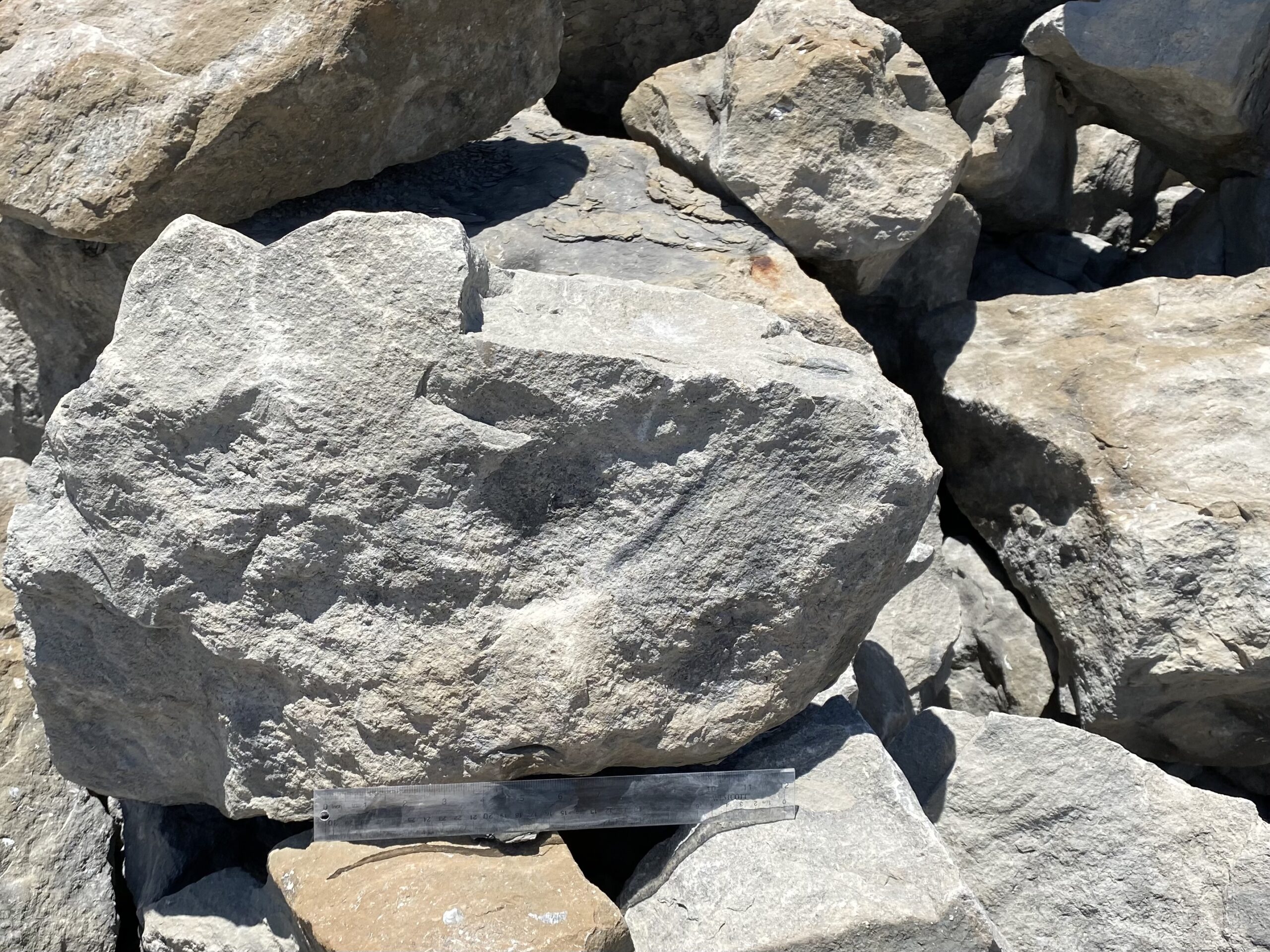 holliday-rip-rap-sand-stone
