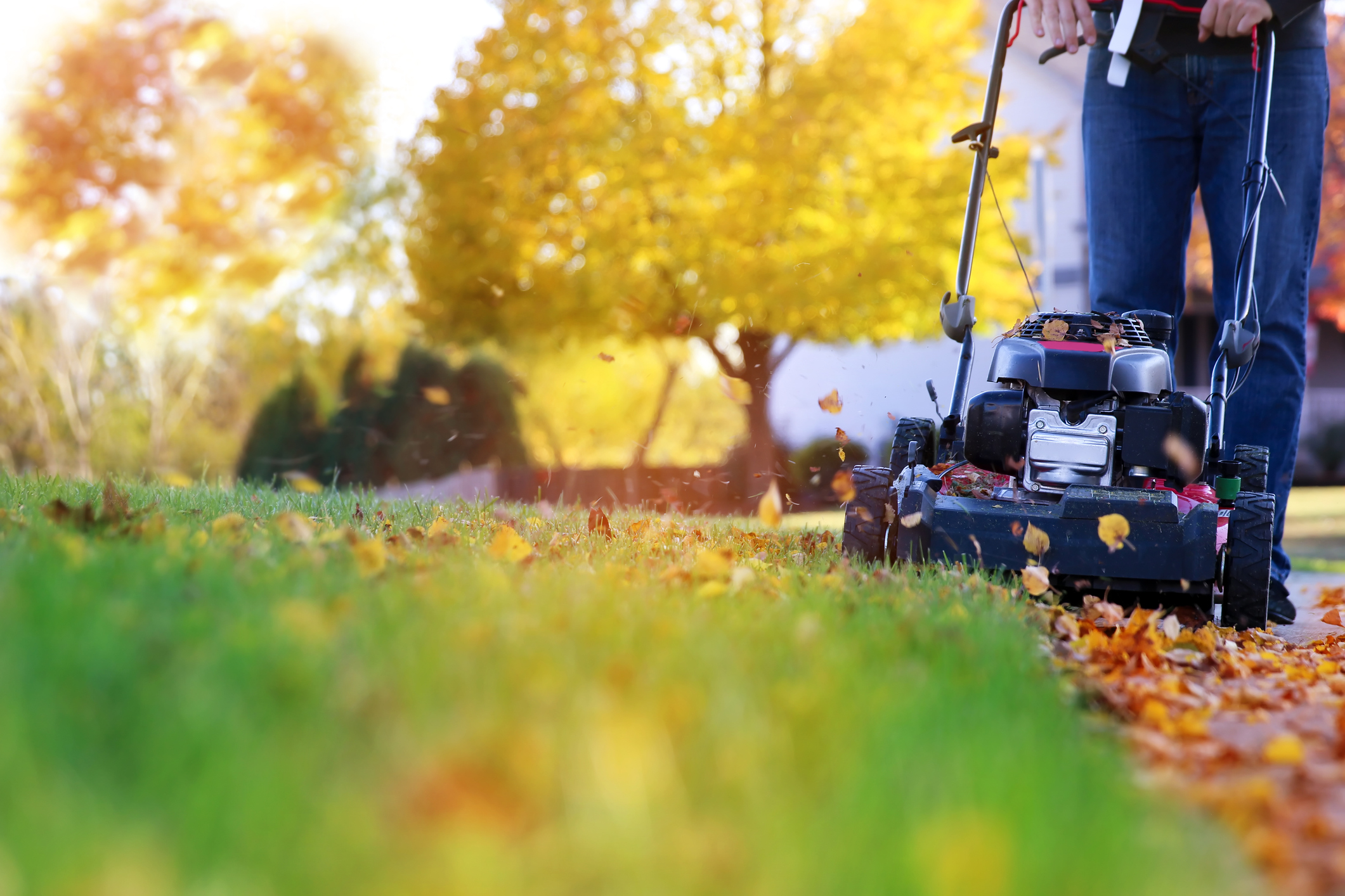 How Do I Prepare My Landscaping For Winter Holliday Sand Stone how-do-i-prepare-my-landscaping-for-winter-holliday-sand-stone